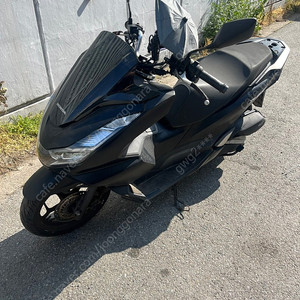 21년식 혼다 PCX125 ABS 차량 판매합니다