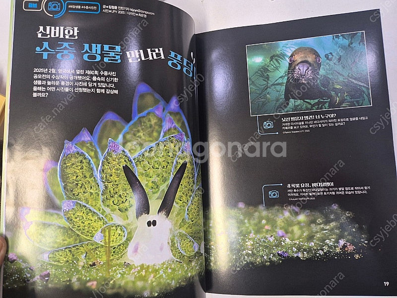 어린이과학동아 2025년--4