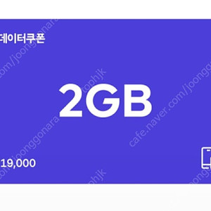 SK T데이터쿠폰 2GB
