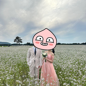 스냅드레스 유색드레스 웨딩드레스 2부드레스 오간자실크(핑크)
