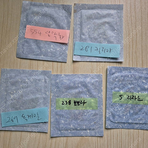 포켓몬스터 띠부씰