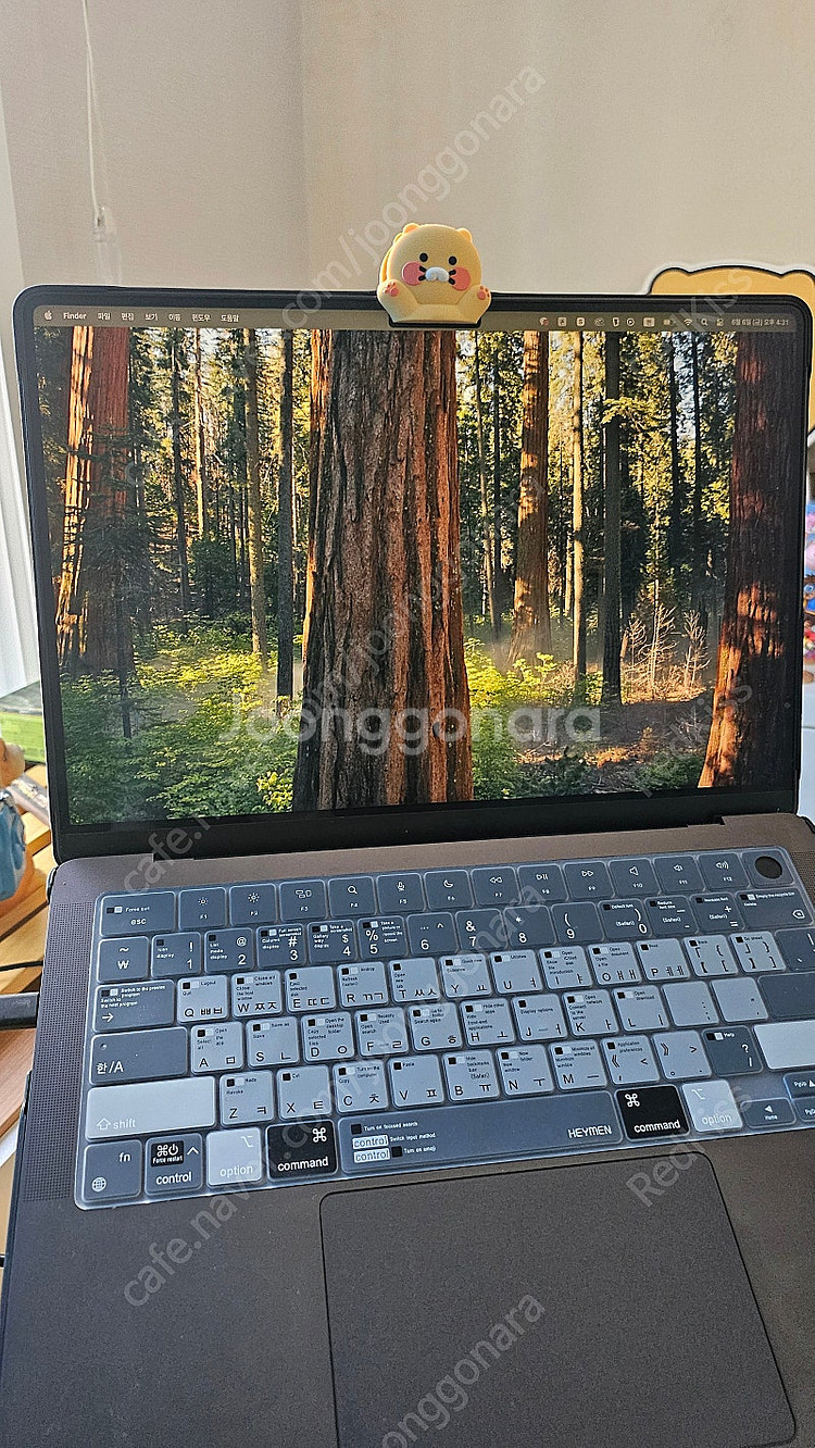 맥북 프로 m3 18기가램 512GB 애플케어O 사이클...--5