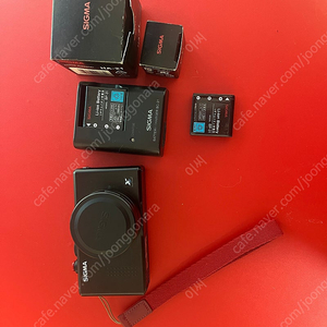 시그마 dp2s