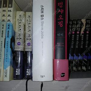 카산드라의거울 스티브잡스 덩샤오핑