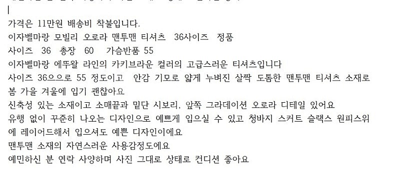 이자벨마랑 모비 맨투맨 블라우스 아떼 바네사브루노 핸드...--2