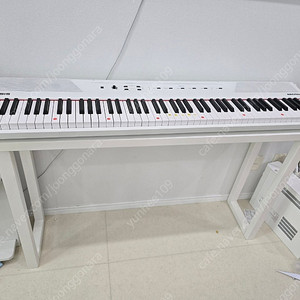 Alesis 디지털 recital 피아노 화이트 알레시스 테이블 포함