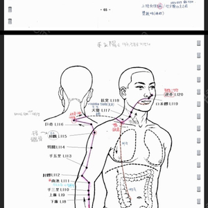 한의대 편입 한의학총강 한의학집요 필기자료 한의학 기출문제 한의편 생물 화학 모의고사 기출문제 판매
