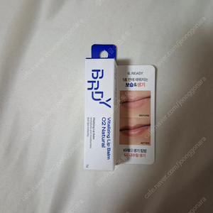 비레디 립밤 내추럴 생기