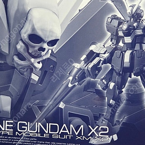 rg 크로스본 건담 X2