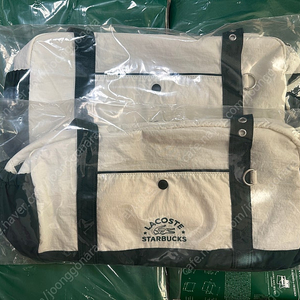 스타벅스 라코스테 멀티플백 그린 프리퀀시 65,000원