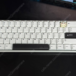 우팅 60HE+