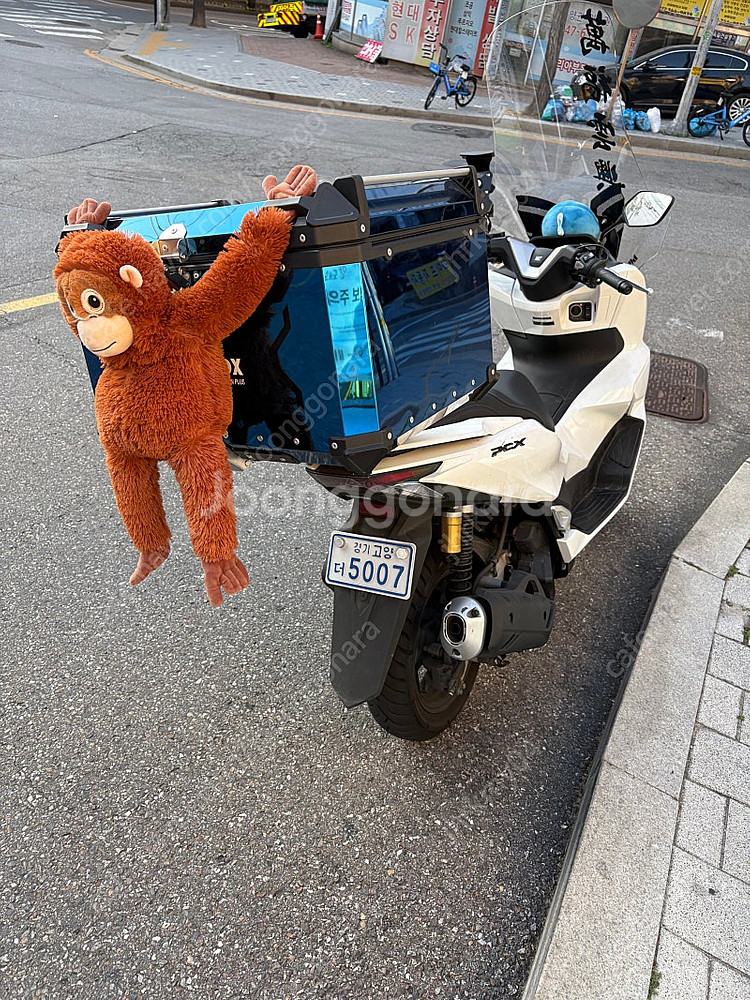 Pcx125 25년식 유상운송보험 개인리스 승계 9개월좀 남음--3