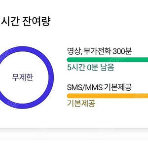 Sk데이타 2기가3000