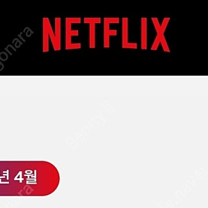 넷플릭스 같이 보실분