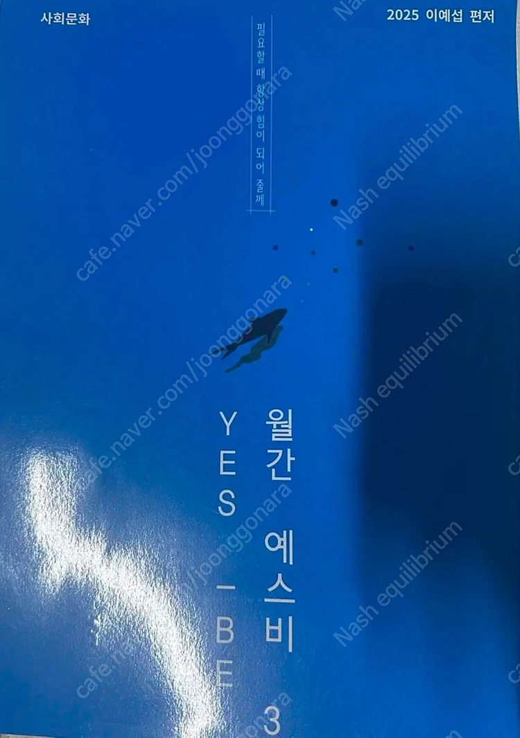 2025 강남대성 사문 강대k 실모 모음 16회분 3 이미지