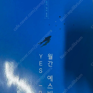 2025 강남대성 사문 강대k 실모 모음 16회분 3