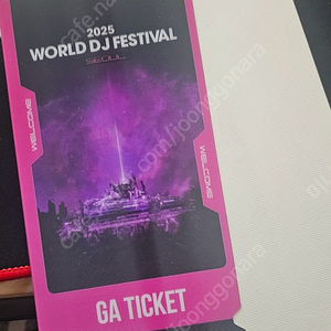2025 월디페(WDF)토요일권 양도합니다.
