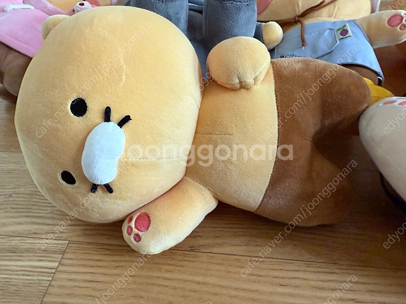 춘식이 인형 8정--1