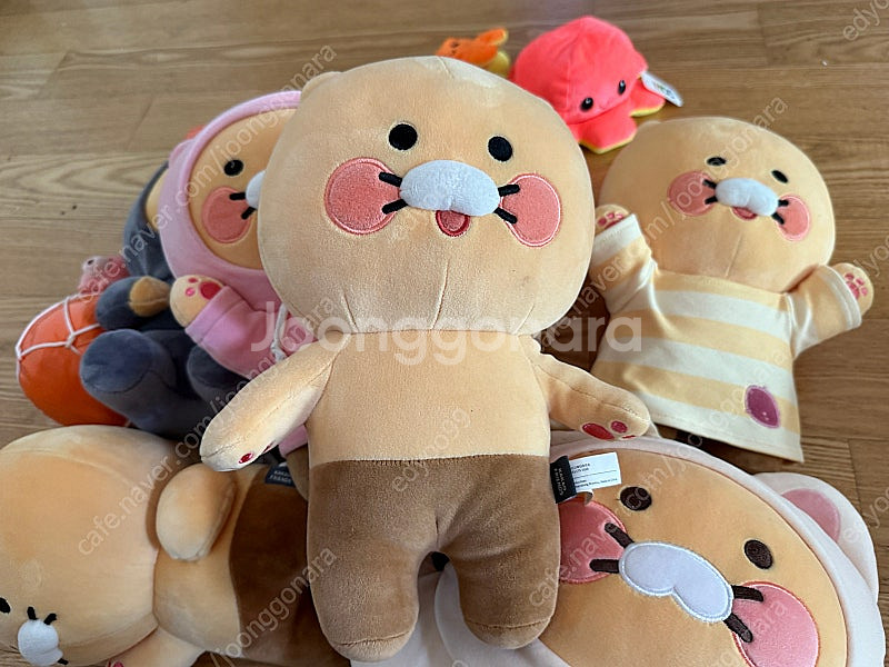춘식이 인형 8정--4