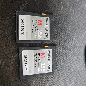 SF-M256 SDXC USB-II 소니 256GB sd카드