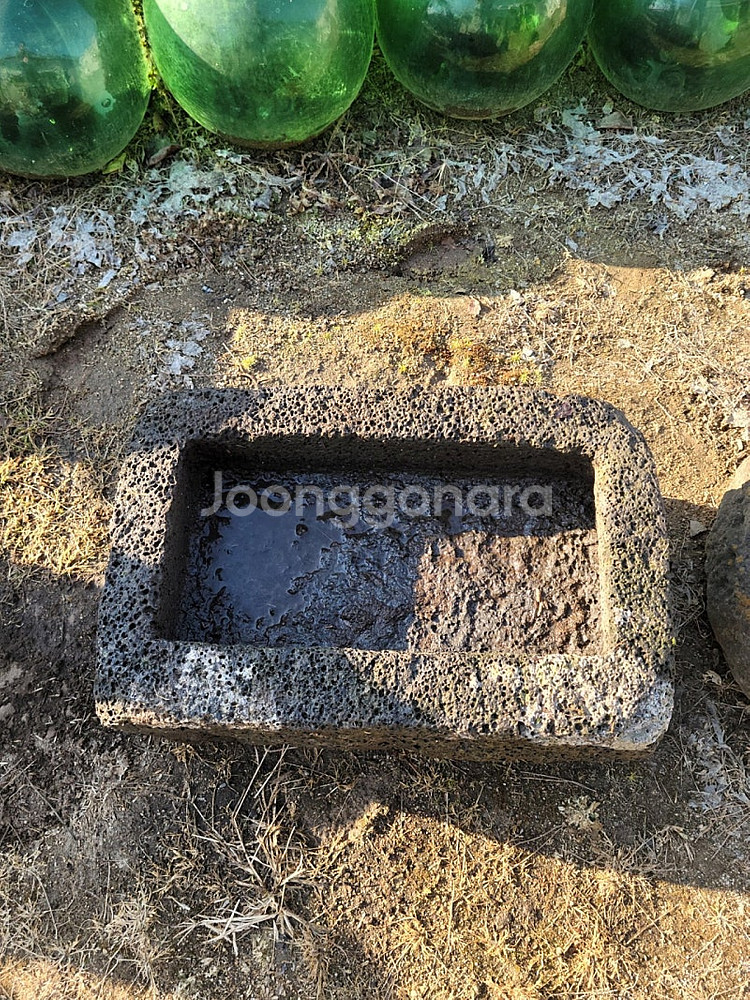 제주도 돗도고리--2