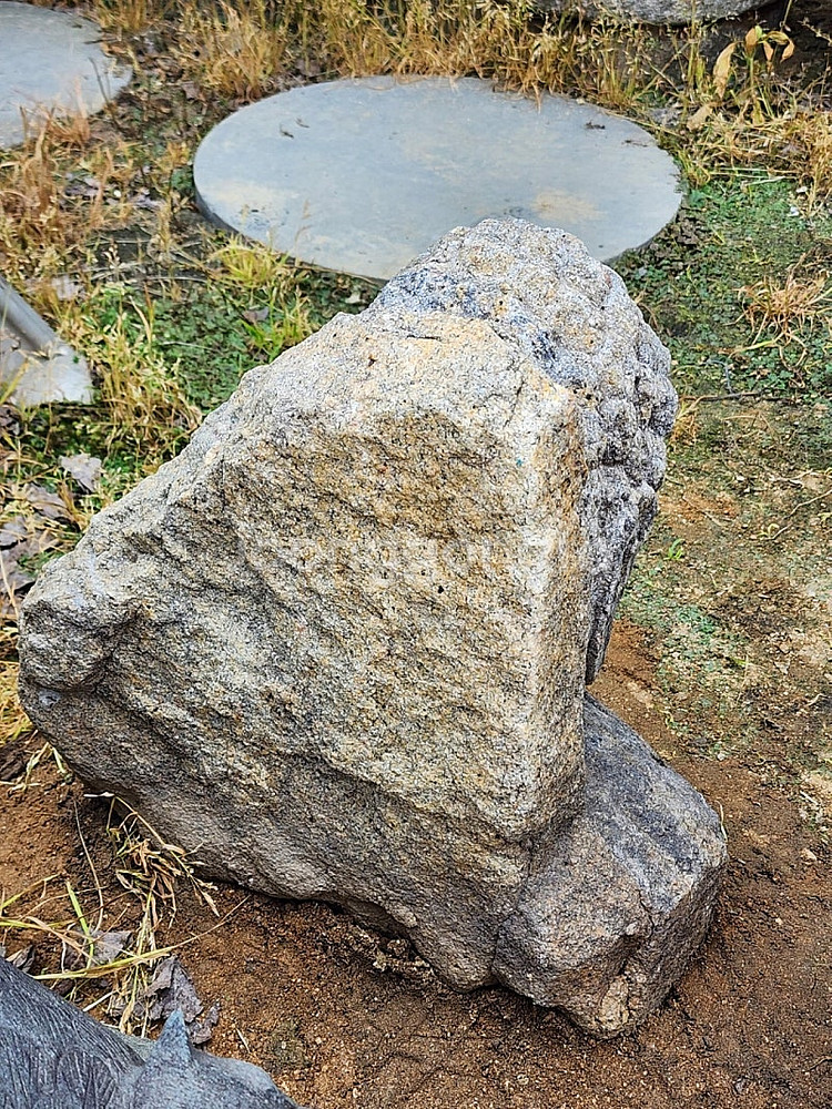 부처님 흉상--3