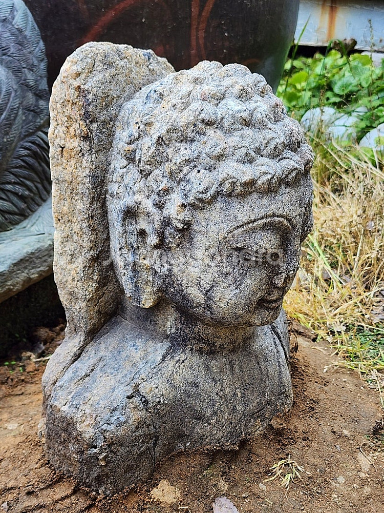 부처님 흉상--5