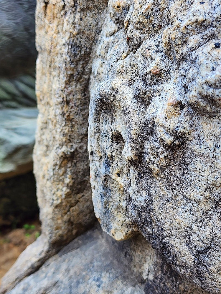 부처님 흉상--9