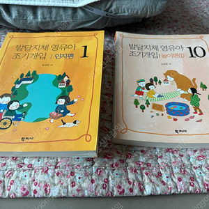 발달지 영유아 조기개입 인지편, 놀이편