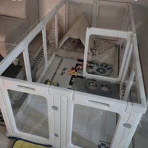 애견 투명 펜스