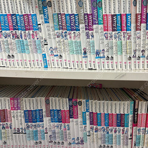 Why책, 와이책