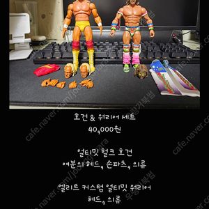 WWE 피규어 (추가 및 가격 변동)