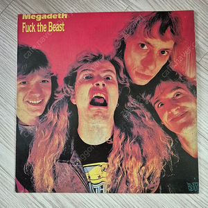 LP 메탈(메탈리카,헬로윈,메가데스,본조비,아이언메이든등) 기타장르 (예스, 반젤리스,텍사스,클라투) 가요(서태지,Mr.2) 등