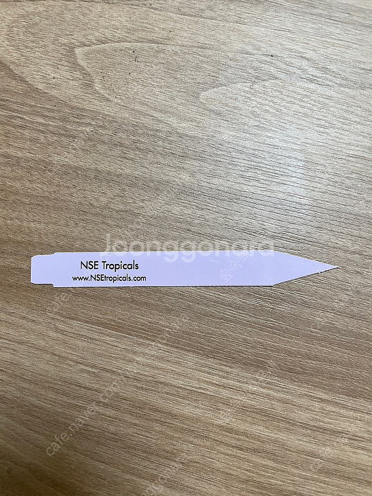 안스리움 NSE 드레스러리 (NSE 택 포함)--1