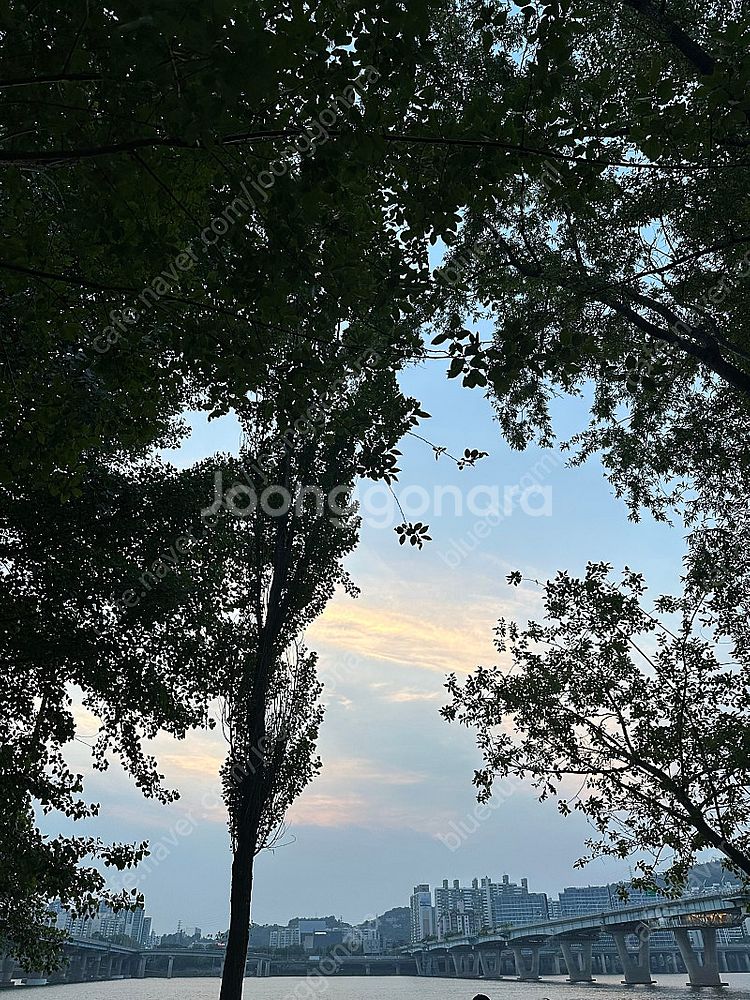 6월8일 잠실 두산자리표랑 롯데자리표 교환해요--0