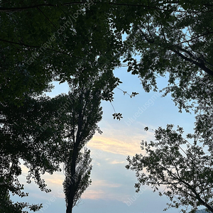 6월8일 잠실 두산자리표랑 롯데자리표 교환해요