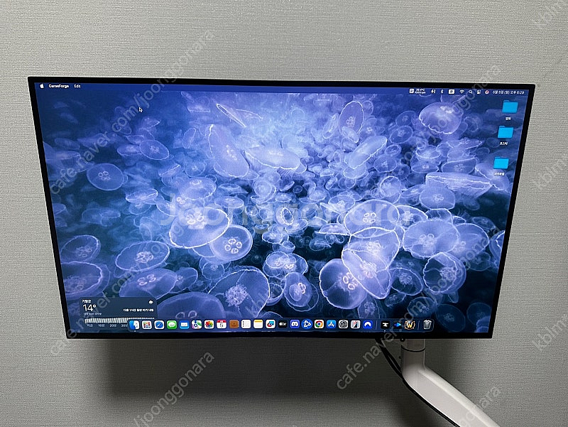 LG 울트라기어 게이밍모니터 32GS95UV OLED ...--0