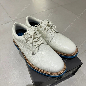지포어 남자 골프화 정품 260