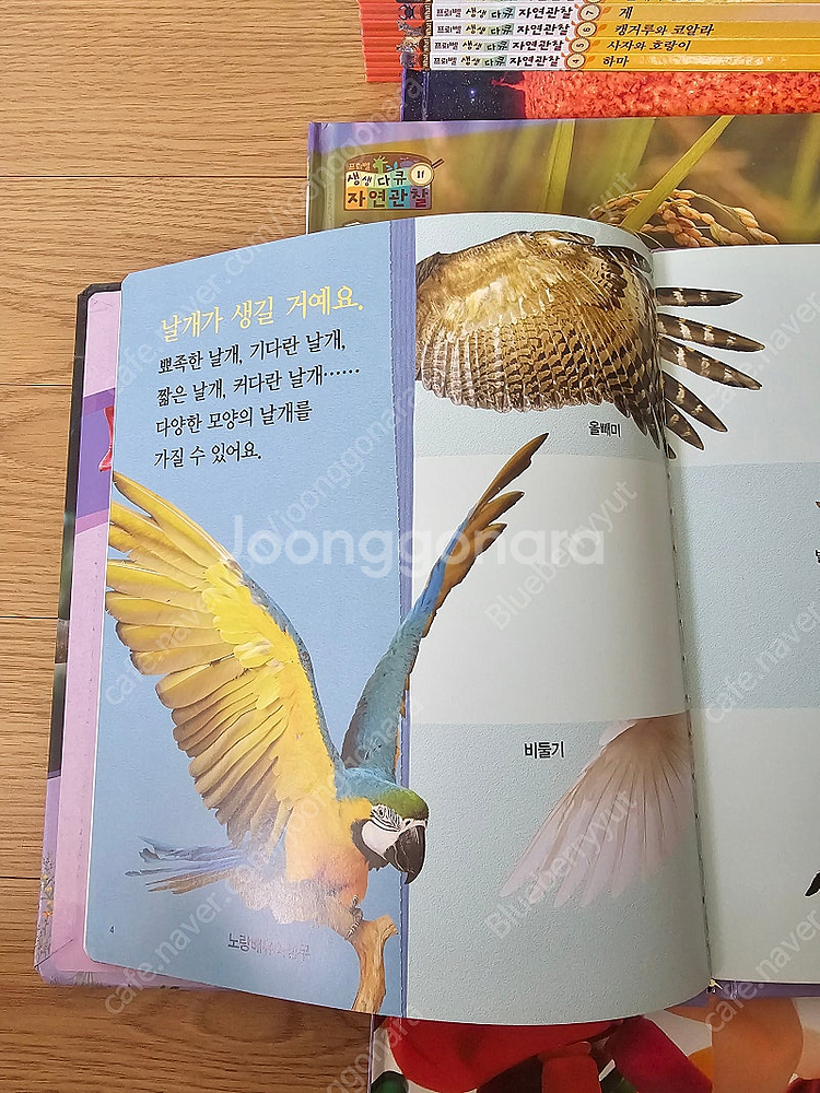 프뢰벨 생생다큐 자연관찰 최신씽킹펜버전 새책수준--6