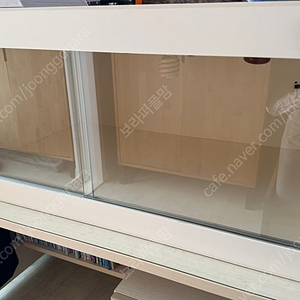 파충류 사육장 새상품 도마뱀사육장 3자