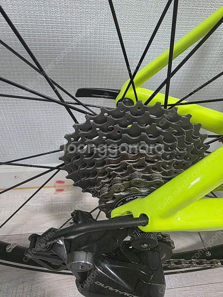 스캇 에딕트 RC10 2019 림--3