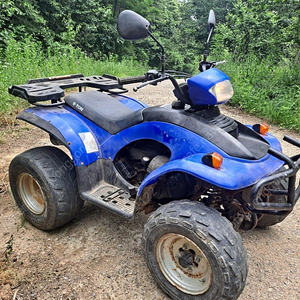 대만 사발이 E-TON150 ATV 판매합니다