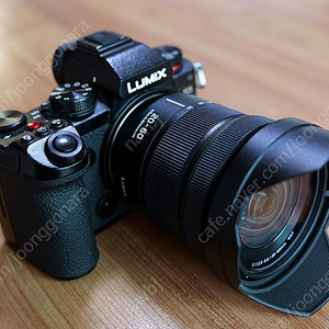 파나소닉 루믹스 S5, 20-60mm 팝니다.