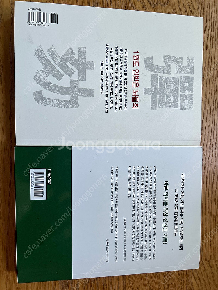 탄핵 인사이드 아웃, 반일 종족주의--1