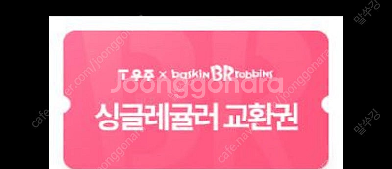 베라 싱글레귤러--0