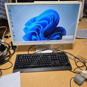 LG 24V570 일체형 PC i5-7200u 램8 SSD128 하드500기가