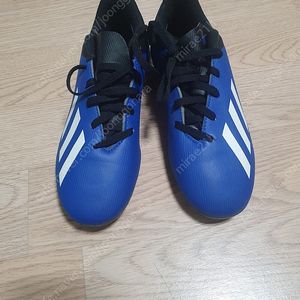 아디다스 축구화