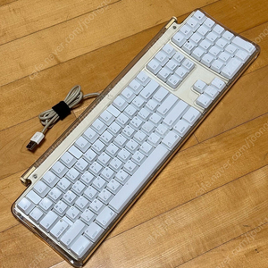 애플 클래식 키보드 M7803, 애플 프로마우스 M5769