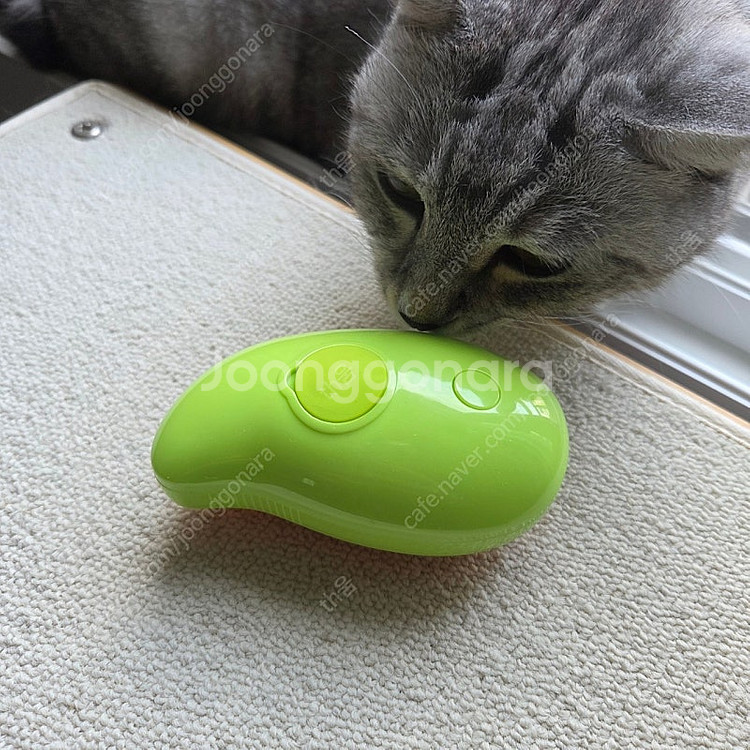 아보카도 스팀 브러쉬/ 고양이 강아지 실리콘 스팀 브러...--2