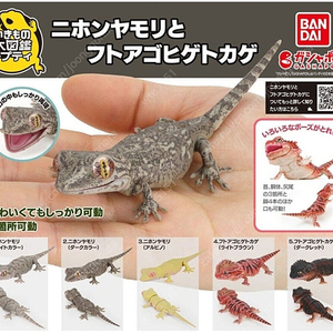 생물대도감 렙티 시리즈 세트 다수 판매